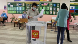 Шебекинские педагоги поделились впечатлениями от организации голосования
