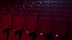 Минкультуры РФ и Фонд кино покажут в белгородских кинотеатрах линейку фильмов о спецоперации