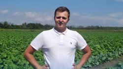 Шебекинский фермер Игорь Стахнюк занялся выращиванием овощей и ягод