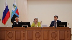 Белгородская областная Дума согласовала работу 11 комитетов