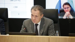 Вячеслав Гладков – о встречах с руководителями предприятий по поводу работы СЭЗ в регионе