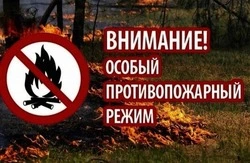 Особый противопожарный режим введён на территории Белгородчины