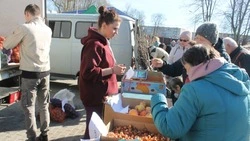 Более тысячи шебекинцев и гостей горокруга побывали на продовольственной ярмарке в прошлую субботу 
