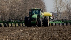 Белгородские власти прогнозируют хороший урожай зерновых в 2022 году