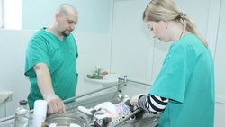 Мы в ответе за тех, кого приручили. Домашние животные требуют особой заботы