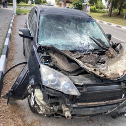 Две женщины получили ранения в Шебекино от атаки беспилотника