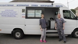 Белгородские специалисты привили более 231 тыс. животных от бешенства за первое полугодие 2025 года